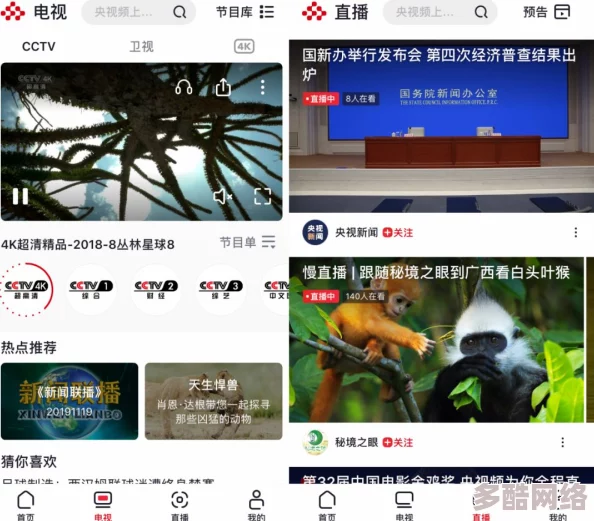 免费一级美国片在线观看：最新影视平台上线，海量资源引发用户热议，免费观看体验再升级！
