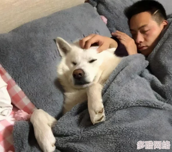 老公带我参加多人游戏怎么办？如何在游戏中找到乐趣并增进感情的实用建议与技巧分享