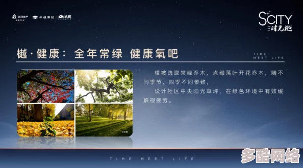 中文字日产幕码三区的做法大全：从基础到进阶，全面解析各类美食制作技巧与心得分享