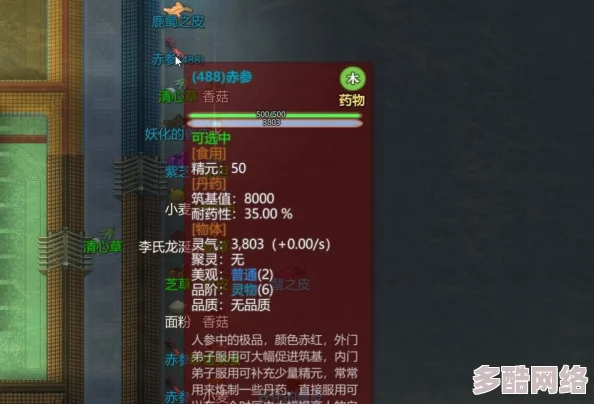 《不一样的修仙宗门2》新手玩法全解析：高效进阶与避坑建议指南